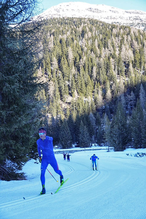 [写真]スピードトレーニングの様子