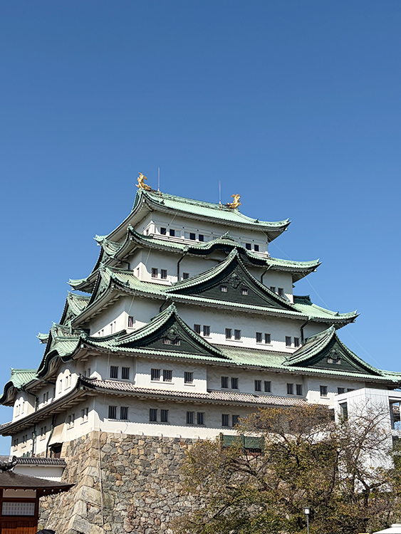 [写真]名古屋城