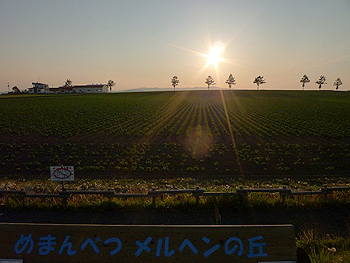 [写真]メルヘンの丘