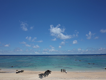 [写真]奄美大島のビーチ
