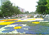 [写真]花でいっぱいの大通公園